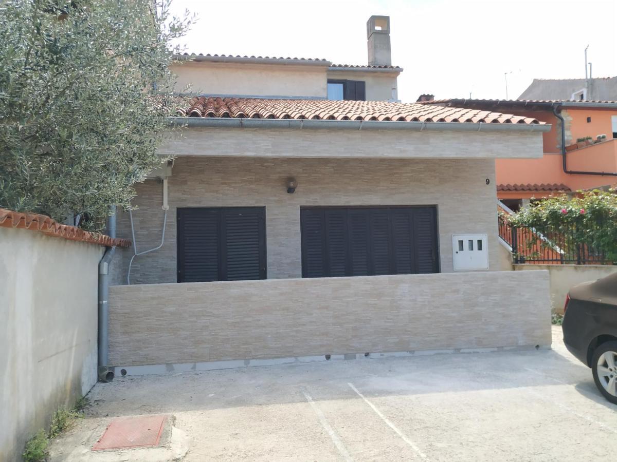 Zp44 *