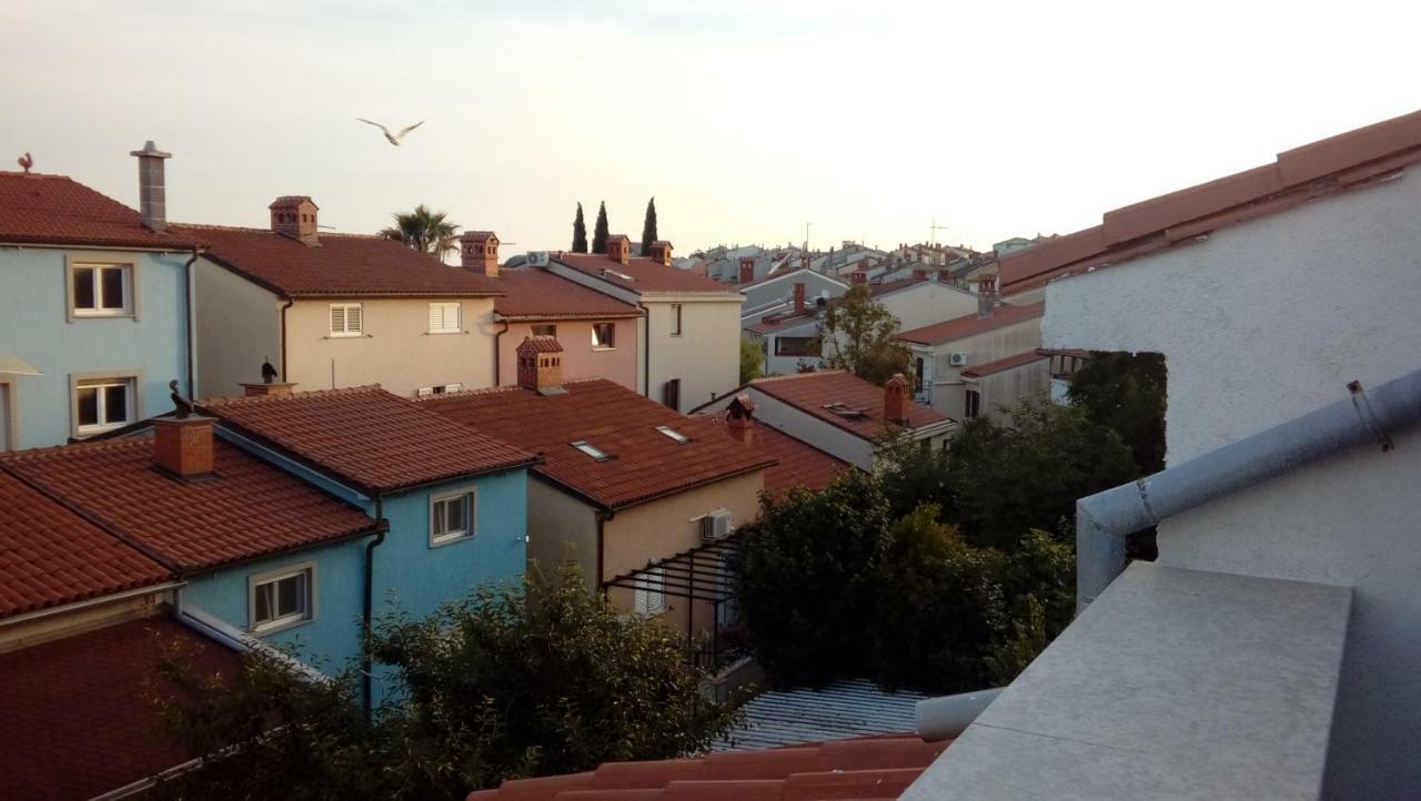 Apartment Zp44 Pula